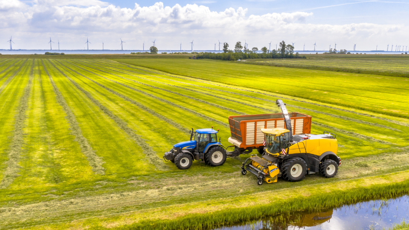 Agropecuária Grama Roxa Ltda
