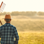 Agropecuária Grama Roxa Ltda