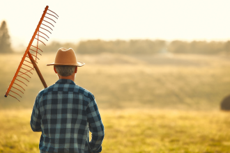 Agropecuária Grama Roxa Ltda