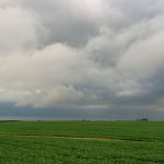 Lavoura verde sob céu nublado e carregado, em área rural brasileira