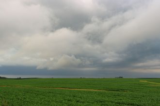 Lavoura verde sob céu nublado e carregado, em área rural brasileira