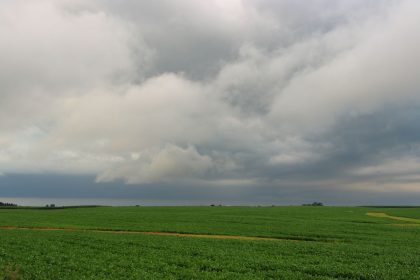 Lavoura verde sob céu nublado e carregado, em área rural brasileira