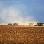 Colheitadeiras trabalham em uma extensa lavoura de soja em Paragominas, no Pará.