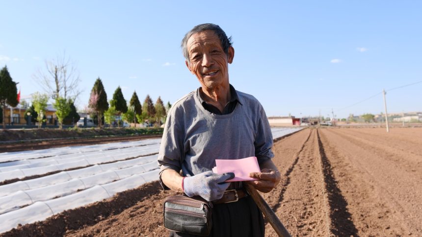 Produtor rural idoso segura um documento e uma pá em uma área agrícola ensolarada.