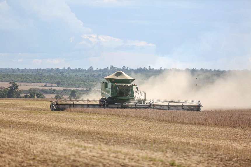 Colheitadeira trabalha em uma extensa plantação de soja no Brasil.