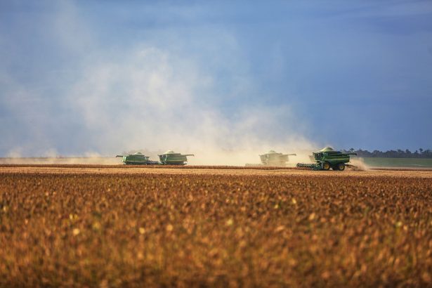 Colheitadeiras trabalham em uma extensa lavoura de soja em Paragominas, no Pará.