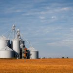 Silos de armazenamento de grãos em meio a uma área agrícola sob céu azul.
