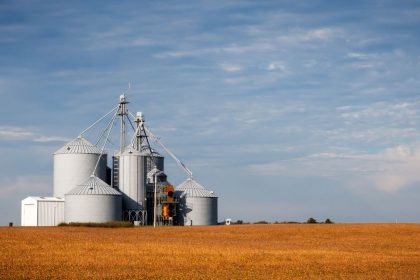 Silos de armazenamento de grãos em meio a uma área agrícola sob céu azul.