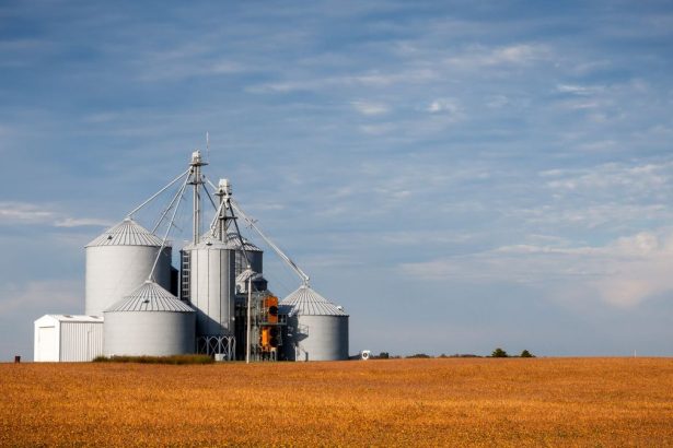 Silos de armazenamento de grãos em meio a uma área agrícola sob céu azul.